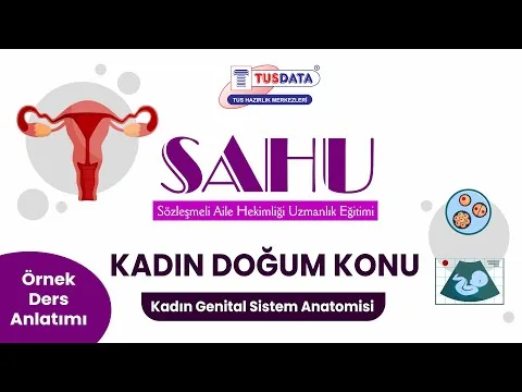 Kadın Genital Sistemi