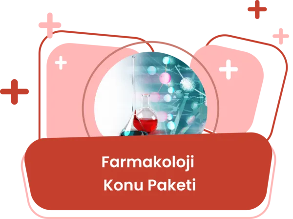 Farmakokinetik Faz