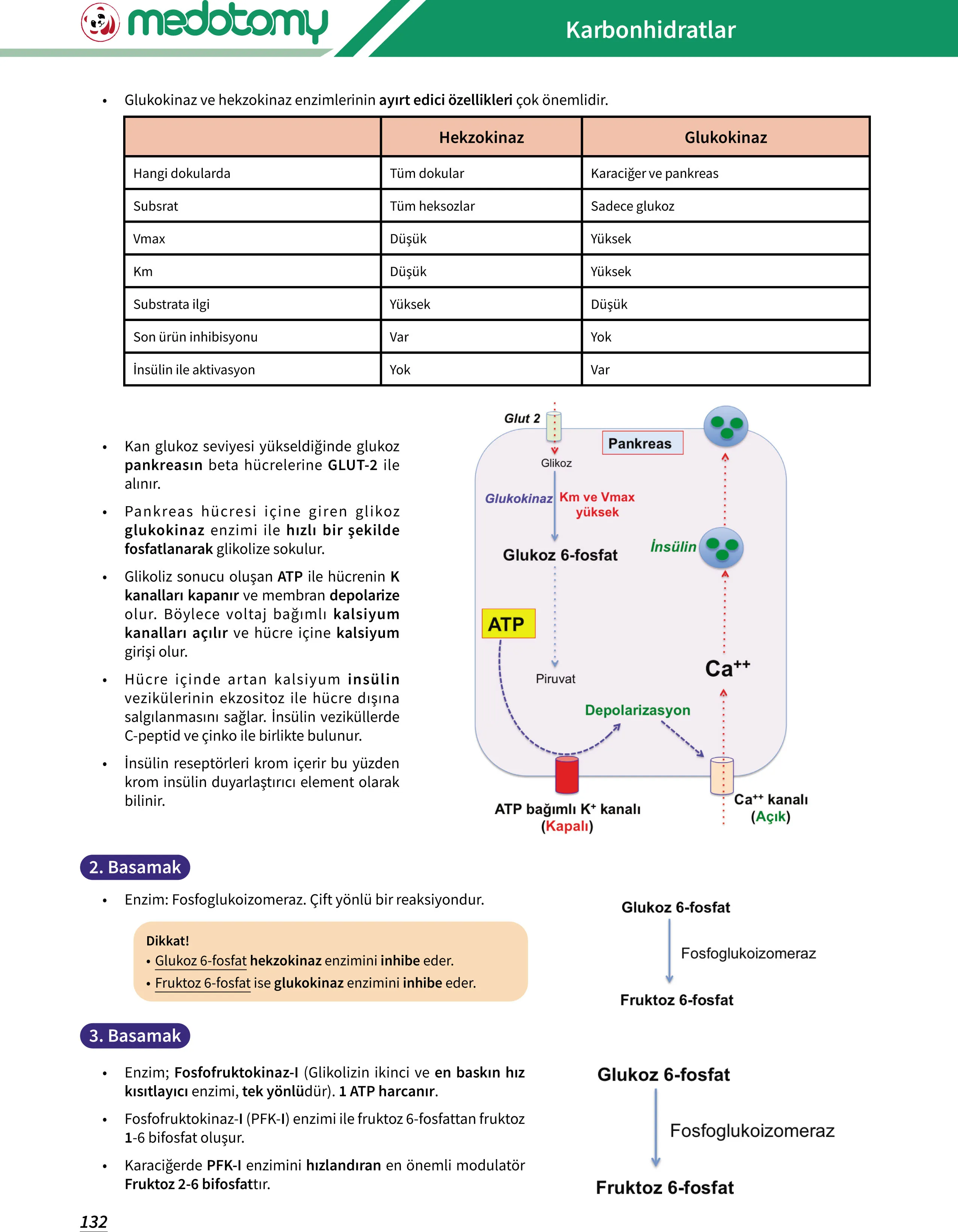 Biyokimya - 4
