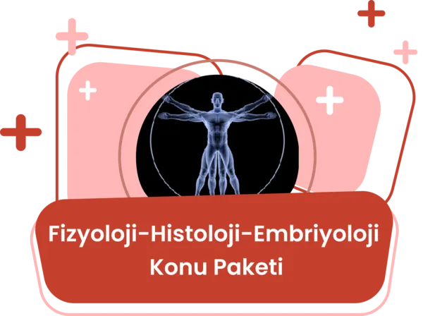 Fizyoloji Konu Eğitim Paketi