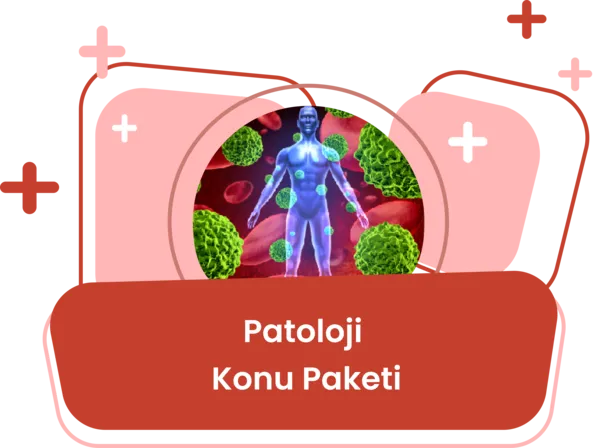 Patoloji Konu Eğitim Paketi
