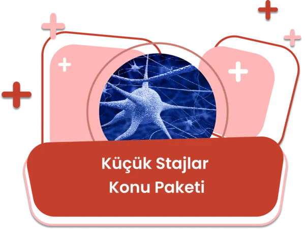 Küçük Stajlar Konu Eğitim Paketi