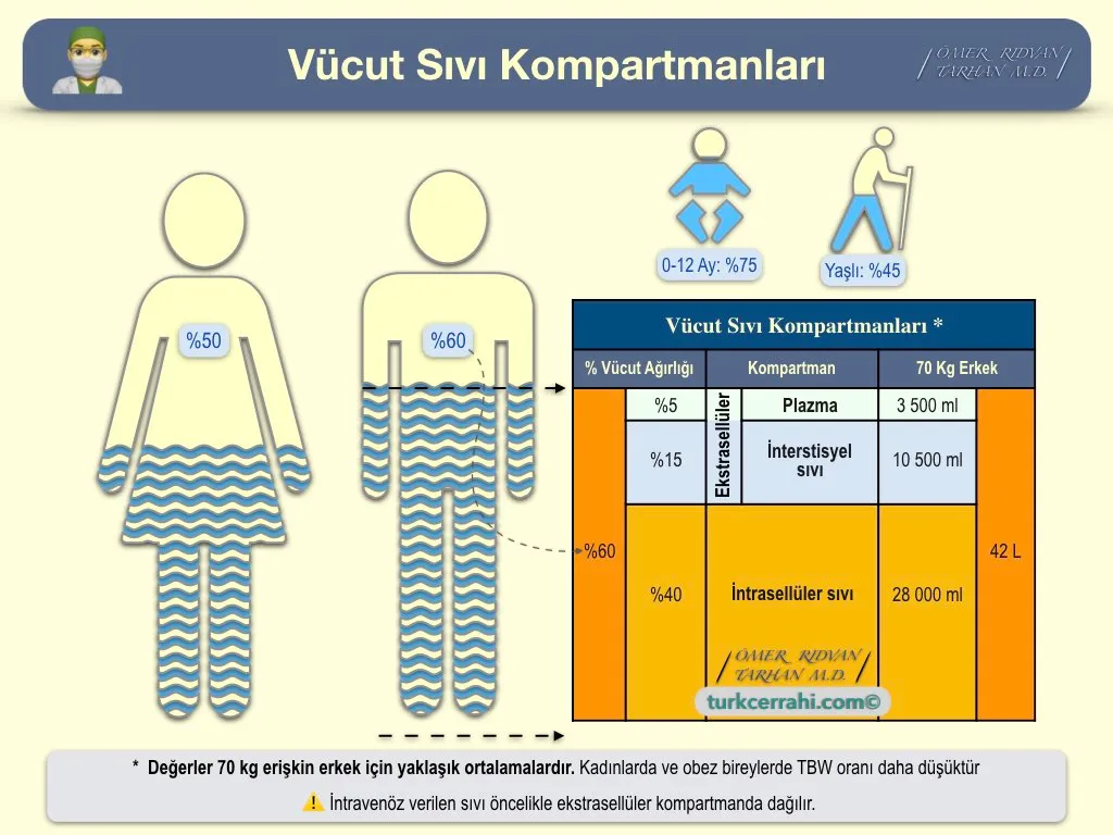Volüm ve Bozuklukları - 2