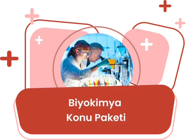 Biyokimya Konu Eğitim Paketi / Berk Us
